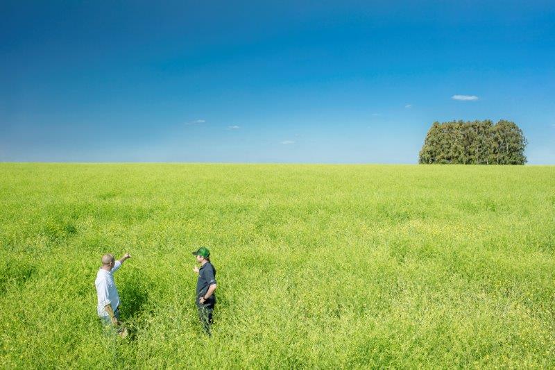 UPM Biofuels