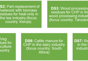 Join our webinars: Prospects for bioenergy development in Sub-Saharan Africa