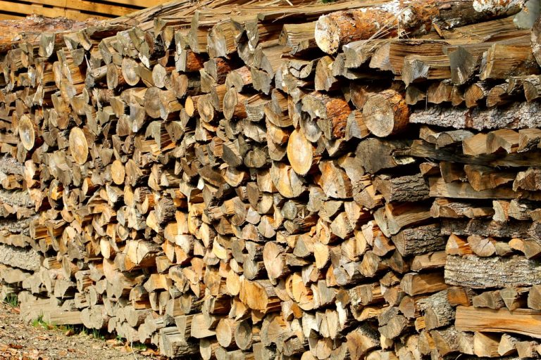 EU policy on advanced biofuel feedstocks: where next for Annex IX?