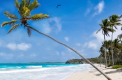 United and JetBlue see value in a customer demand for environmentally sustainable holiday destinations | United Airlines,JetBlue,Sustainable Travel International,The Ocean Foundation,A.T. Kearney