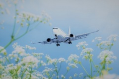 ASTM approval of ethanol-based renewable jet fuels a green light for LanzaTech and Byogy | Byogy,LanzaTech,ASTM,Gevo