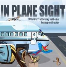 Wildlife traffickers highly dependent on a vulnerable air transport sector, finds report | ROUTES,Wildlife trafficking,C4ADS