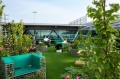 Airside travellers at Amsterdam’s Schiphol Airport can now enjoy a relaxing pre-flight stroll in the park | Amsterdam Schiphol,Schiphol Group
