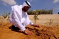 Research facility to grow seafood and plants for sustainable aviation biofuels begins operations in UAE | Masdar