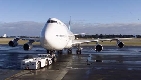 Air New Zealand confirms jatropha as its biofuel of choice for Boeing 747 test flight later this year | Air New Zealand, Boeing, jatropha, Norm Thompson, Rob Fyfe, David Morgan, Terrance Scott, biofuels, Rolls-Royce